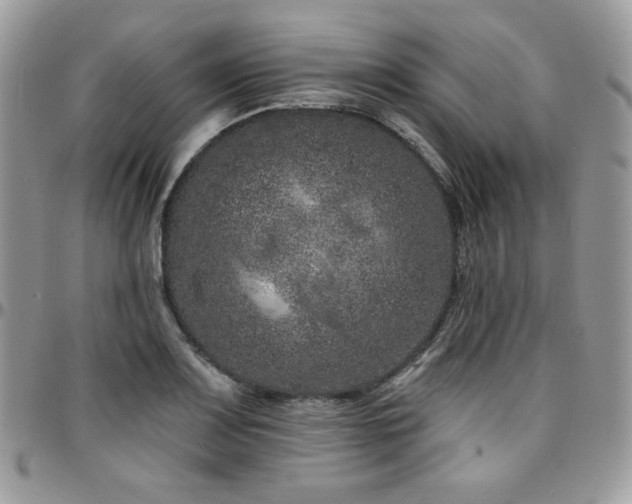 X0000095131083200712071302