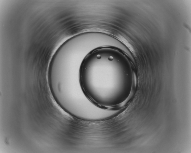 X0000095131084200712071302