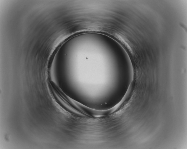 X0000095131085200712071302
