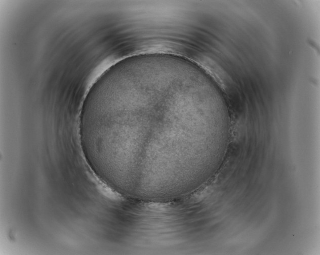 X0000095131086200712071302