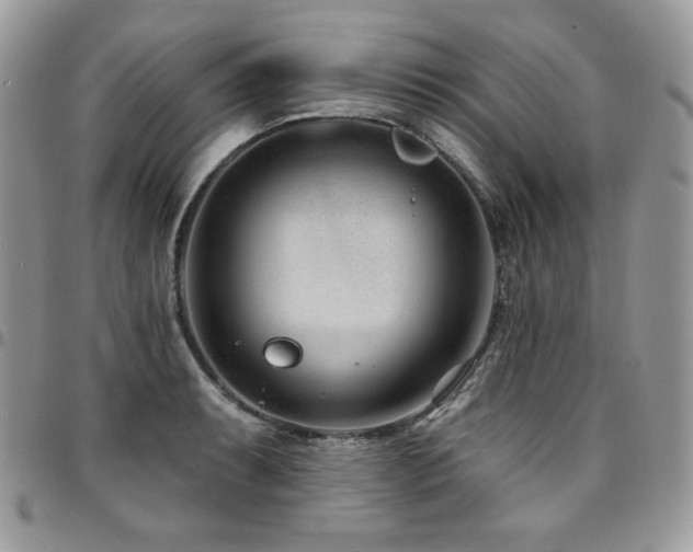 X0000095131087200712071302
