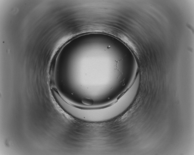 X0000095131088200712071302