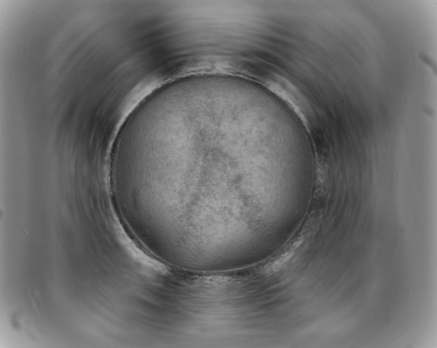 X0000095131090200712071302
