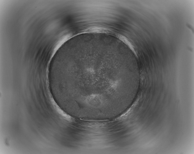 X0000095131091200712071302