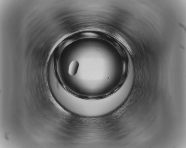 X0000095131092200712071302
