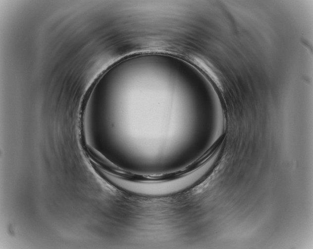X0000095131093200712071302