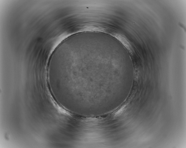 X0000095131094200712071302