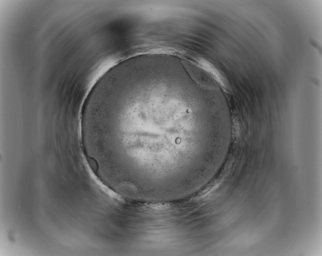X0000095131095200712071302