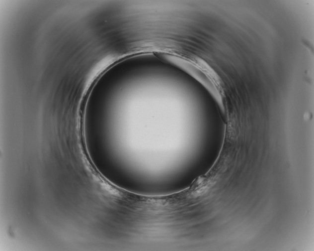 X0000095131096200712071302