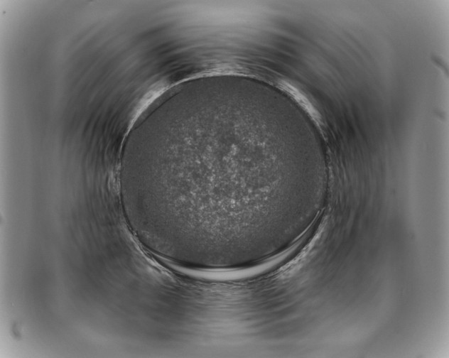 X0000095131097200712071302
