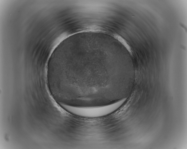 X0000095131099200712071302