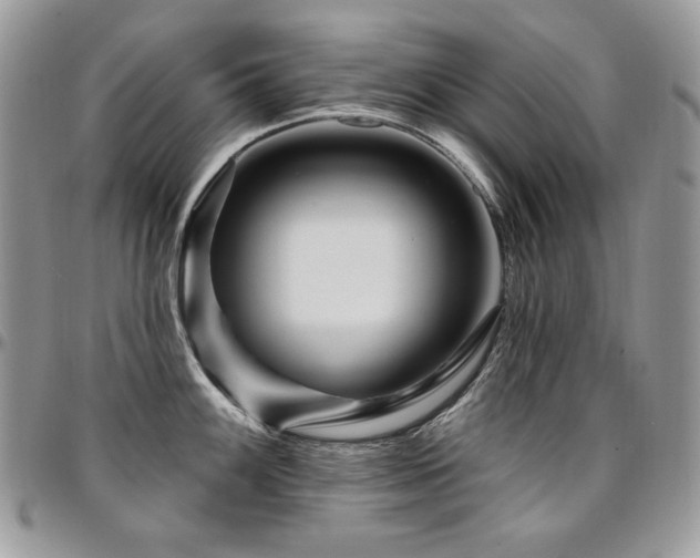 X0000095131100200712071302