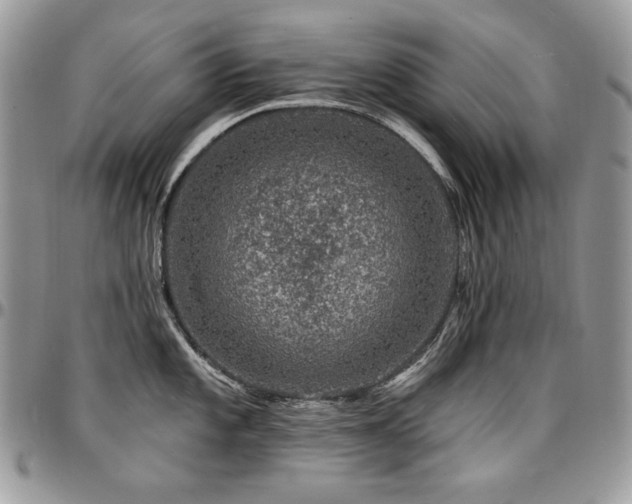 X0000095131101200712071302
