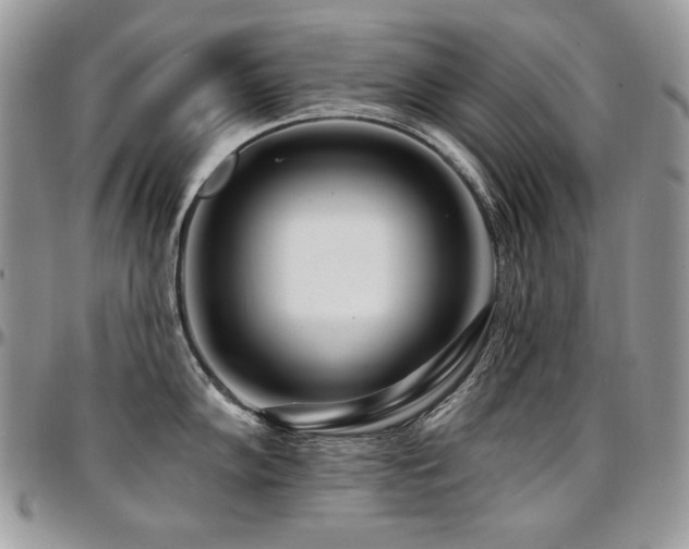 X0000095131102200712071302