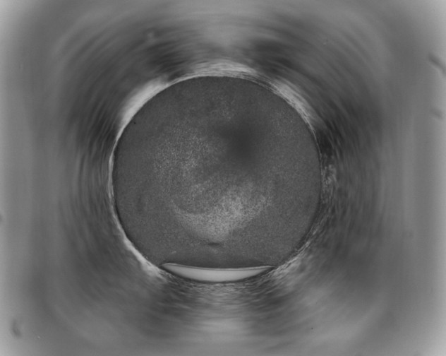 X0000095131103200712071302