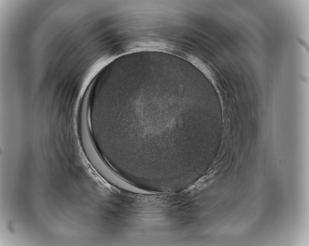 X0000095131104200712071302