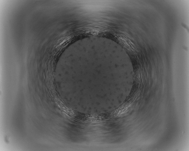 X0000095131105200712071301