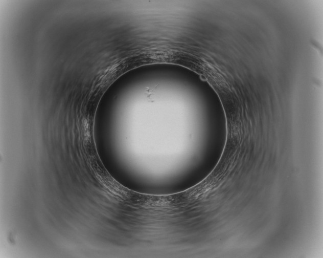 X0000095131106200712071301