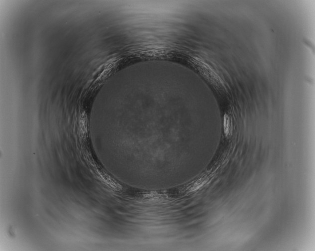 X0000095131107200712071301
