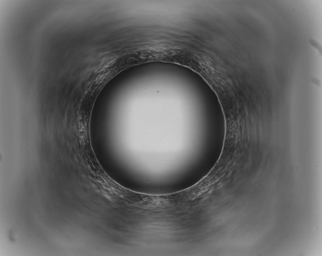 X0000095131109200712071301