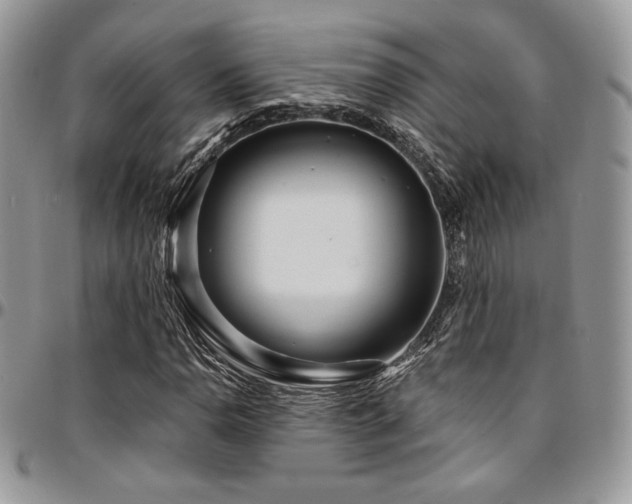 X0000095131110200712071301