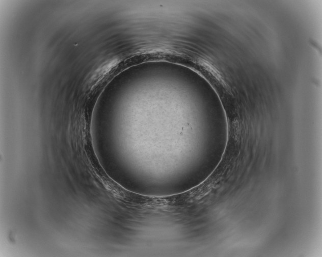 X0000095131111200712071301