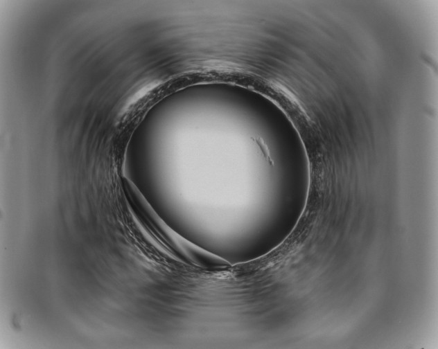 X0000095131112200712071301