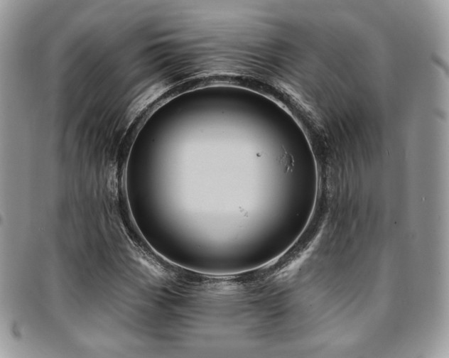 X0000095131113200712071301