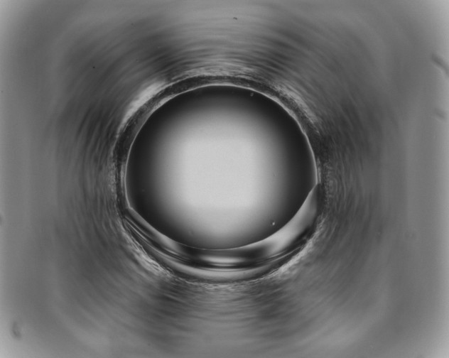 X0000095131114200712071301