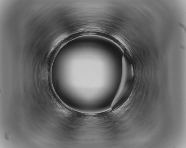 X0000095131115200712071301
