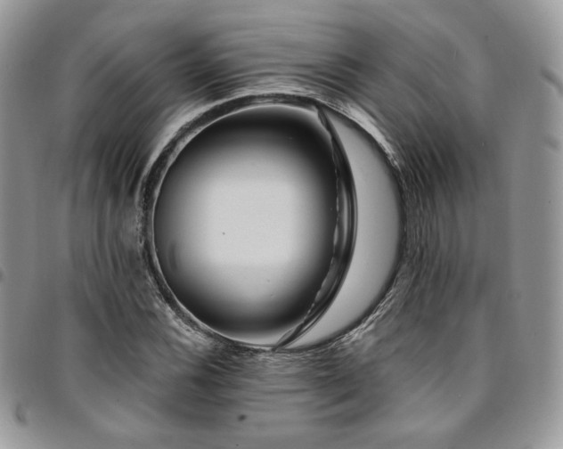 X0000095131116200712071301