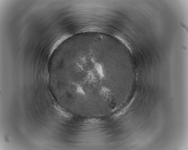 X0000095131117200712071301