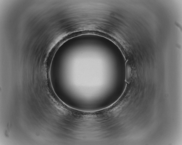 X0000095131118200712071301