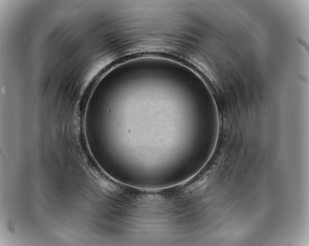 X0000095131119200712071301