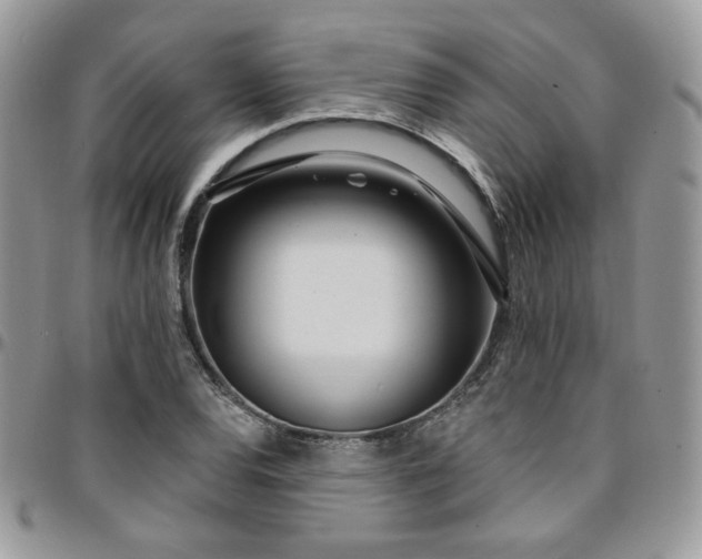 X0000095131120200712071301