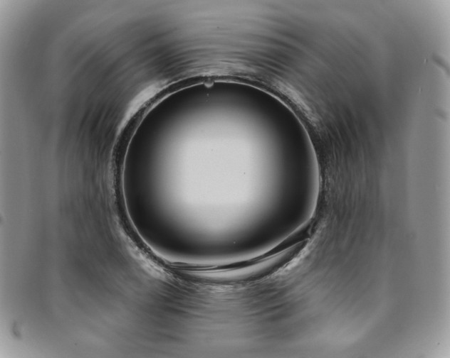 X0000095131122200712071301
