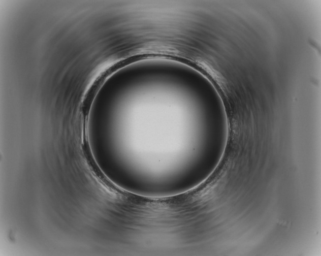 X0000095131123200712071301