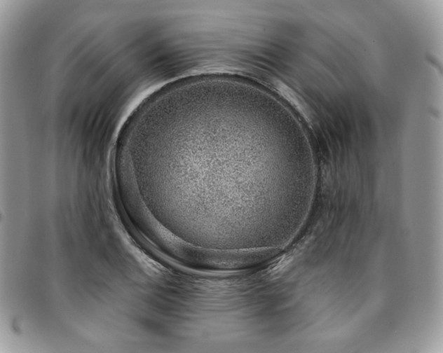 X0000095131124200712071301
