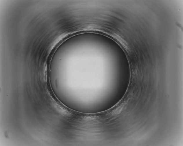 X0000095131126200712071301