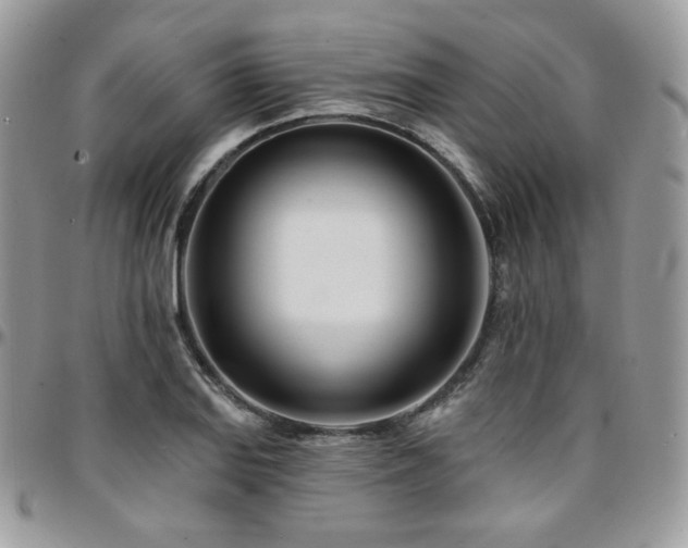 X0000095131127200712071301