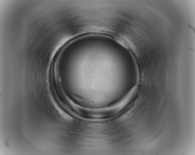 X0000095131128200712071301