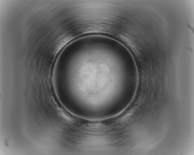 X0000095131129200712071301