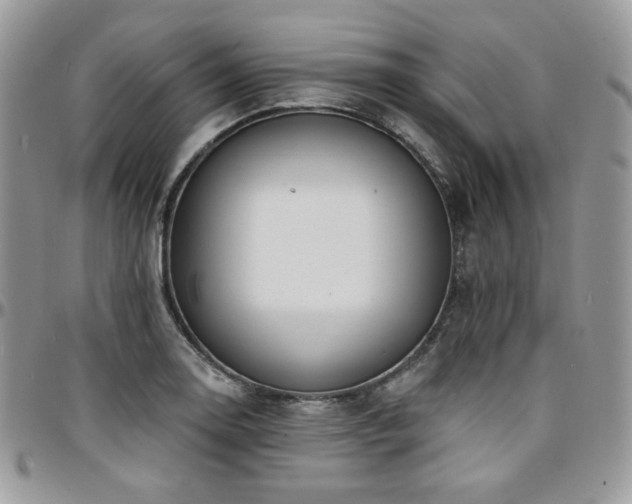 X0000095131130200712071301