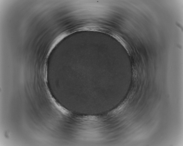 X0000095131131200712071301
