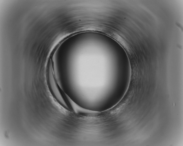 X0000095131132200712071301
