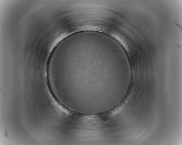 X0000095131133200712071301
