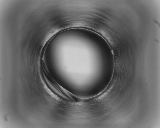 X0000095131134200712071301