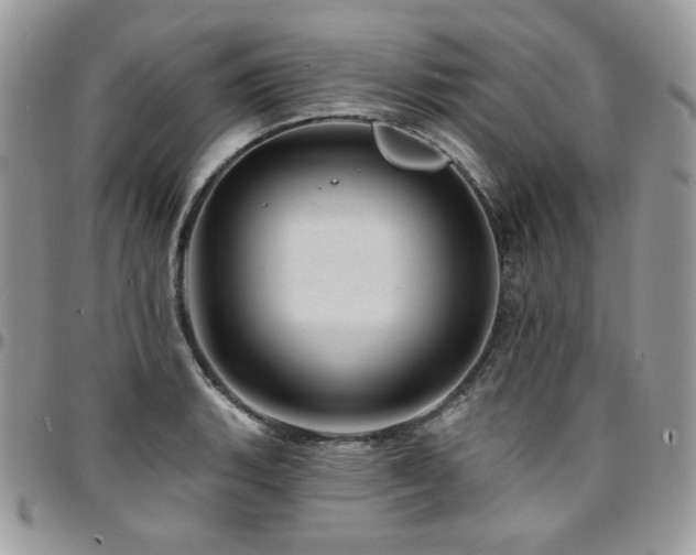 X0000095131135200712071302