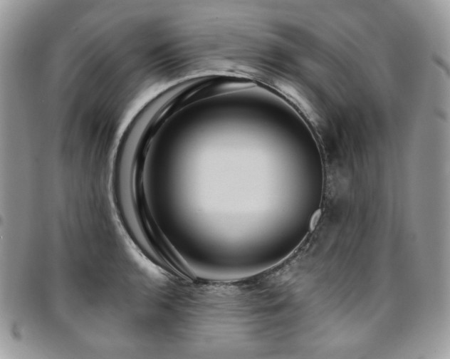 X0000095131136200712071302