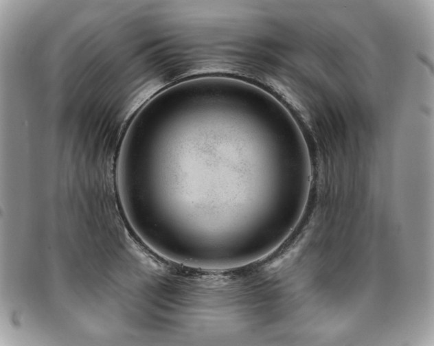 X0000095131137200712071302